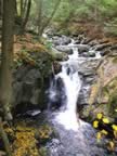 Waterfall in Sage's Ravine (62kb)