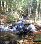 Refilling our water bottles from the babbling brook, just above Bear Rock Falls. (85kb)