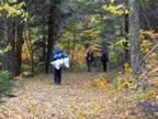Hiking through the woods, on an old woods road (103kb)