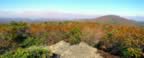 View from the top of Race Mt. The gap on the L is at Bash Bish Falls; the peak on the R is Mt. Everett, which we climb next. (128kb)